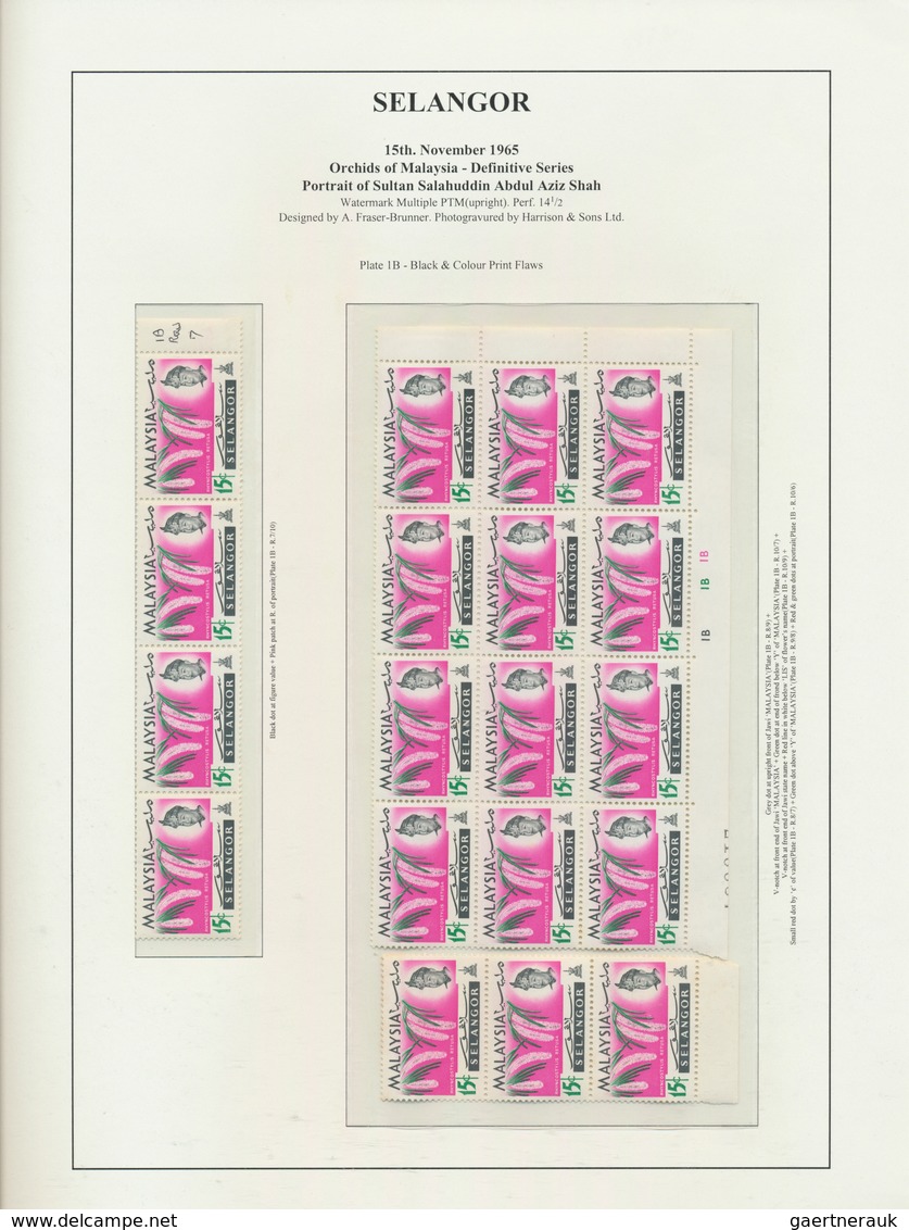 Malaiische Staaten - Selangor: 1965, Orchids, Specialised Collection Of Apprx. 2.500 Stamps On Writt - Selangor