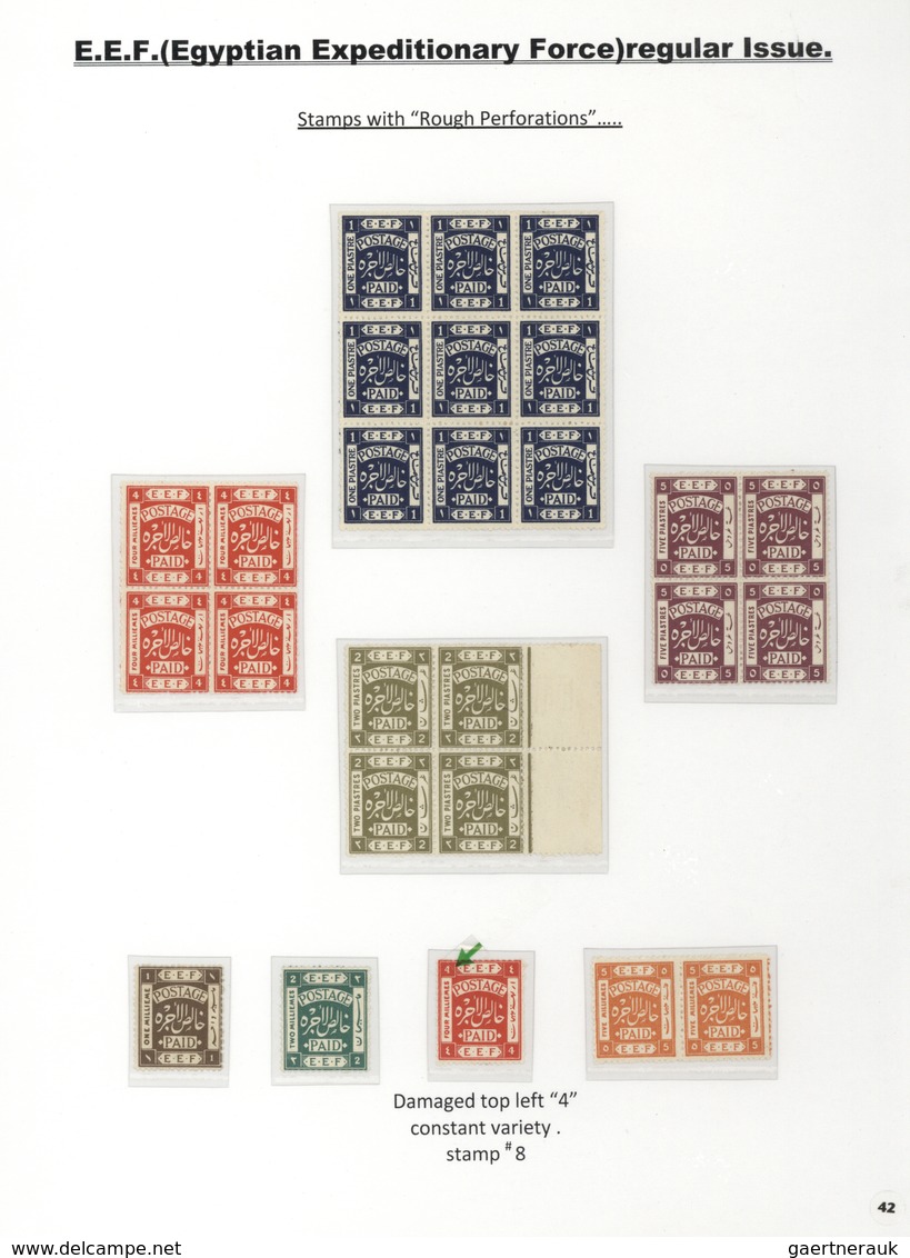 Palästina: 1918-1927, Exhibition Collection "PALESTINE STAMPS & COVERS FROM 1918 - 1927" on 80 leave