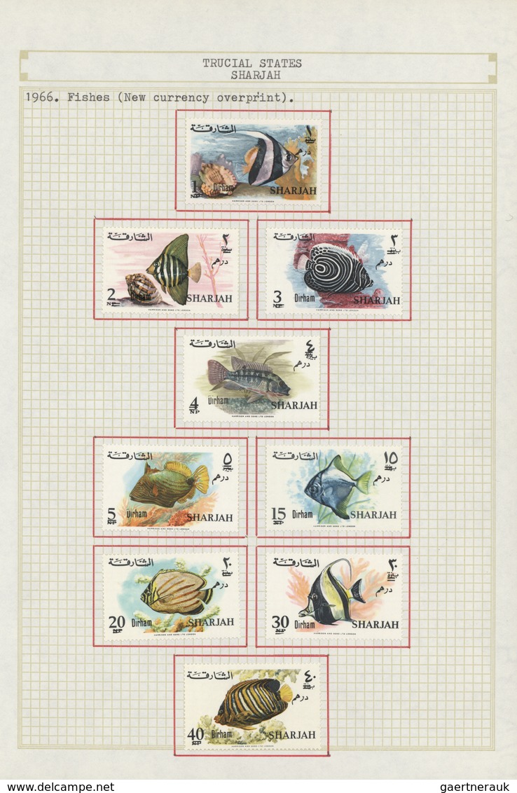 Schardscha / Sharjah: 1963/1972, Mint And Used Collection/accumulation In A Binder With Plenty Of Ma - Schardscha