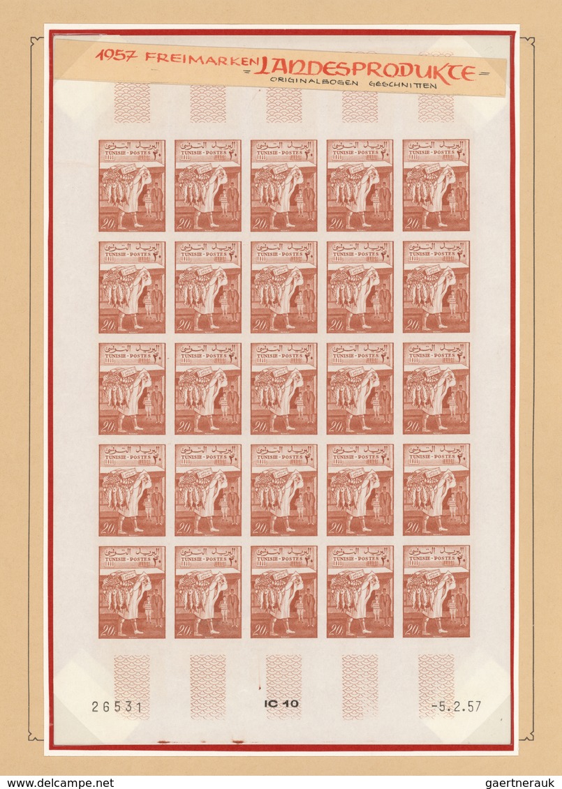 Tunesien: 1957/1963, extraordinary mint collection of apprx. 2.600 IMPERFORATE stamps within large u