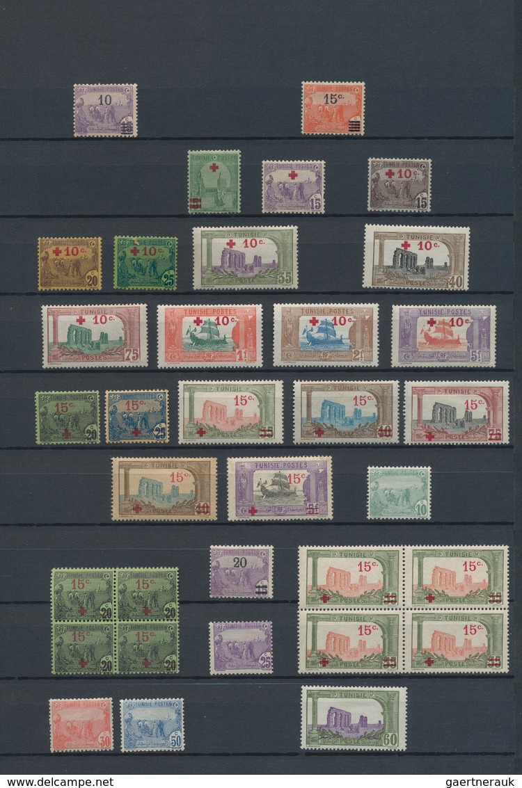 Französische Kolonien: 1890/1970 (ca.), FRENCH COLONIES/FRENCH AREA, comprehensive mint collection i