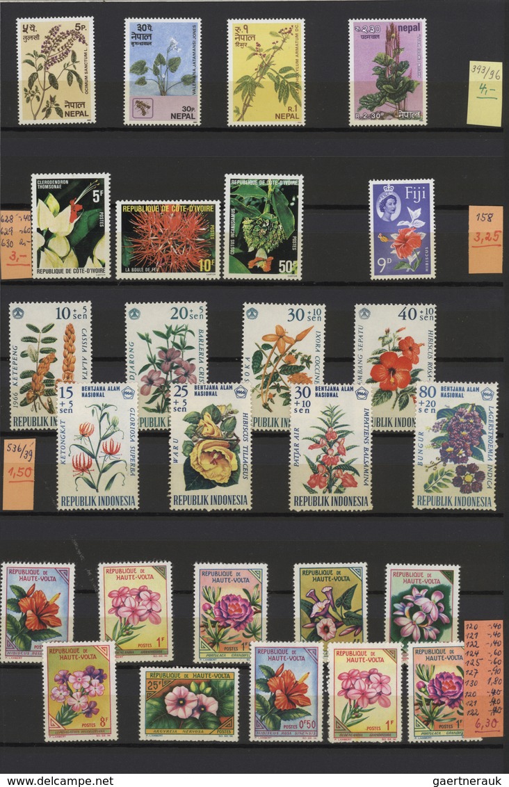 Thematik: Flora, Botanik / Flora, Botany, Bloom: Extensive Collection In 7 Big And Thick Stockbooks, - Autres & Non Classés