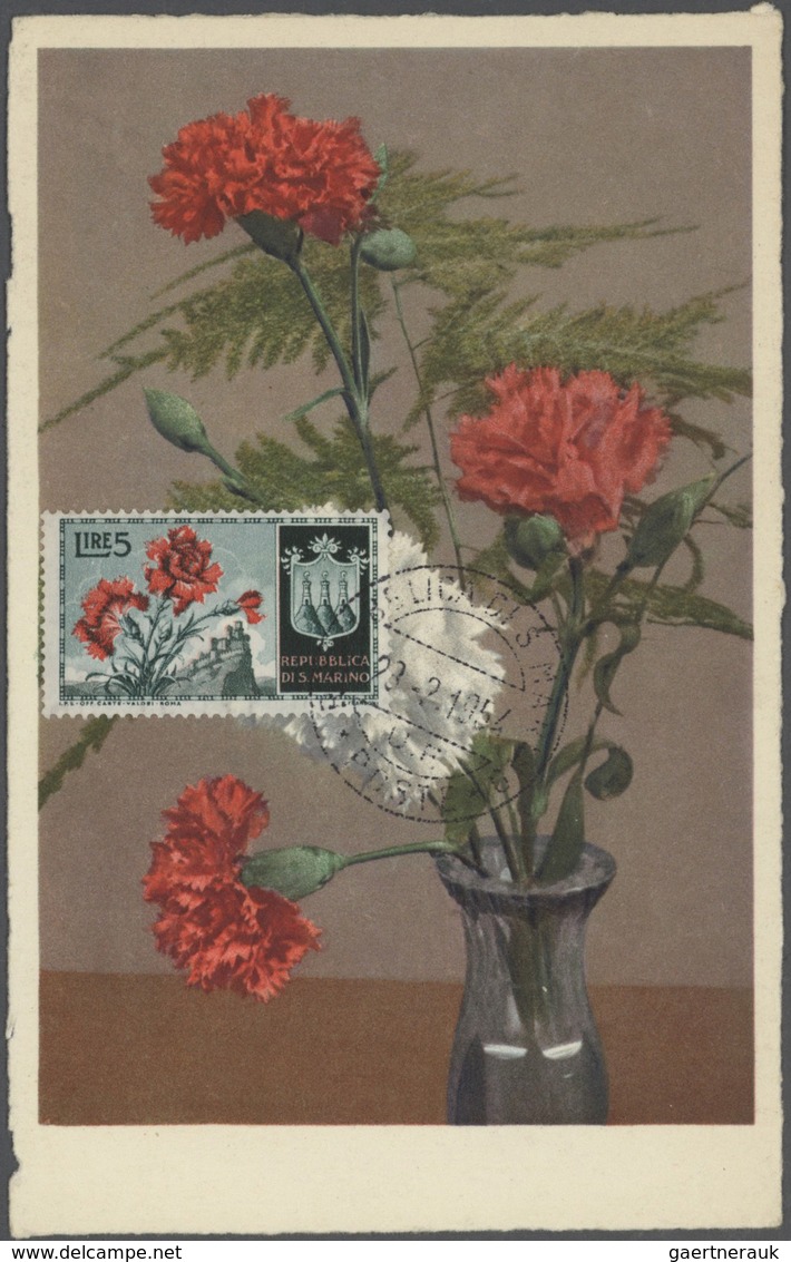 Thematik: Flora, Botanik / Flora, Botany, Bloom: 1960/2000 (approx), Various Countries. Accumulation - Autres & Non Classés