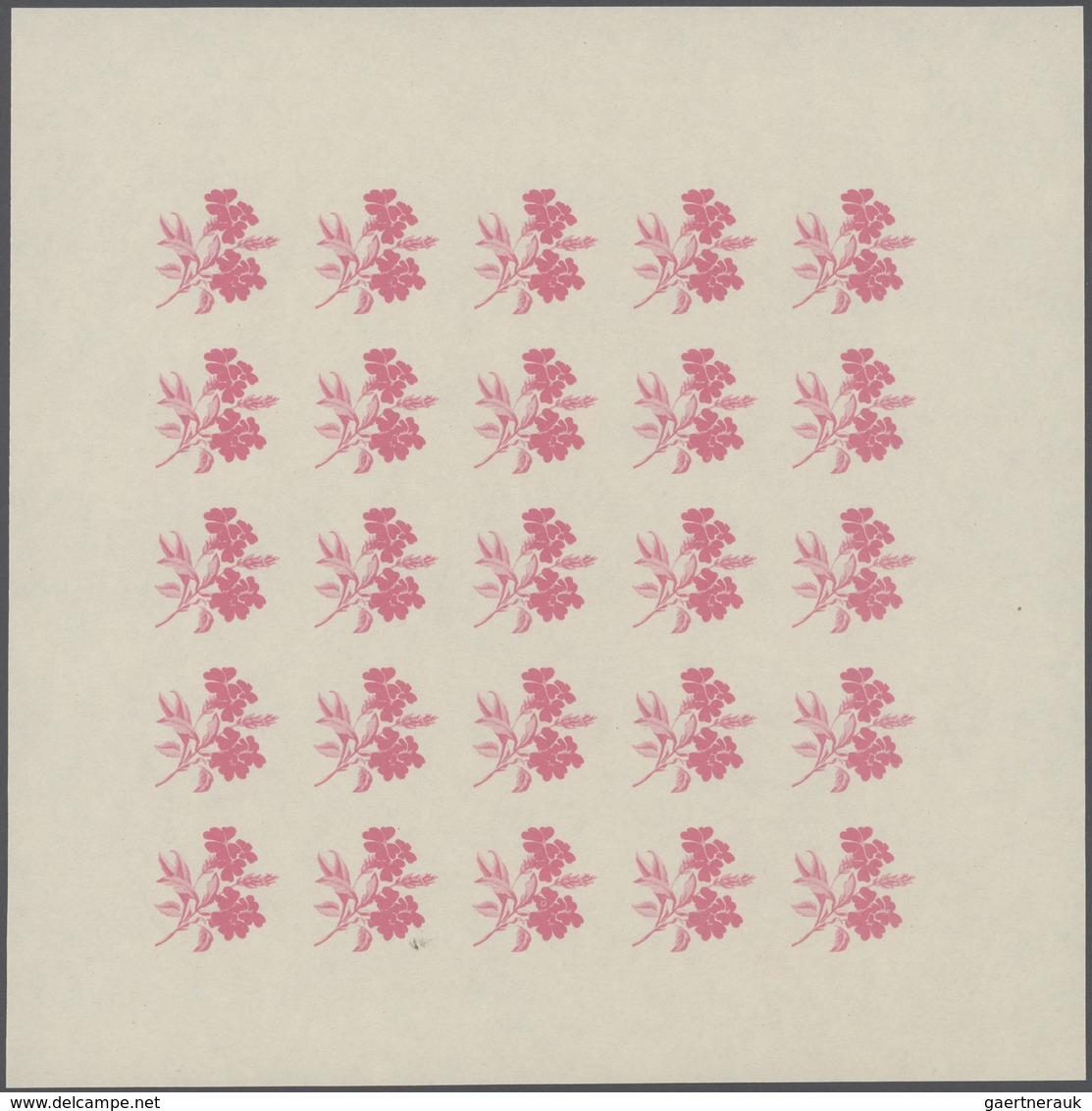 Thematik: Flora, Botanik / Flora, Botany, Bloom: 1966, Burundi. Progressive Proofs Set Of Sheets For - Otros & Sin Clasificación