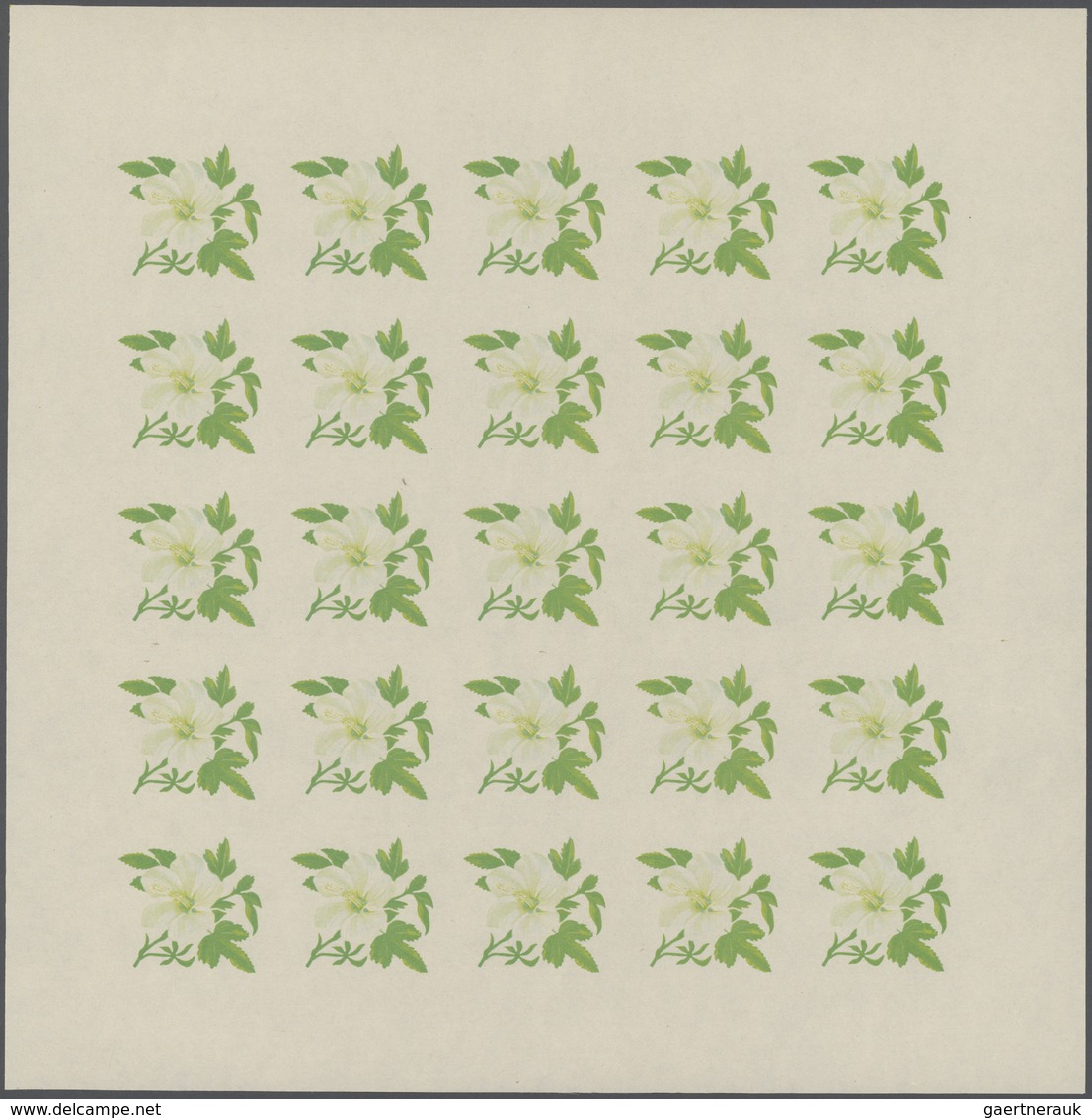 Thematik: Flora, Botanik / Flora, Botany, Bloom: 1966, Burundi. Progressive Proofs Set Of Sheets For - Autres & Non Classés