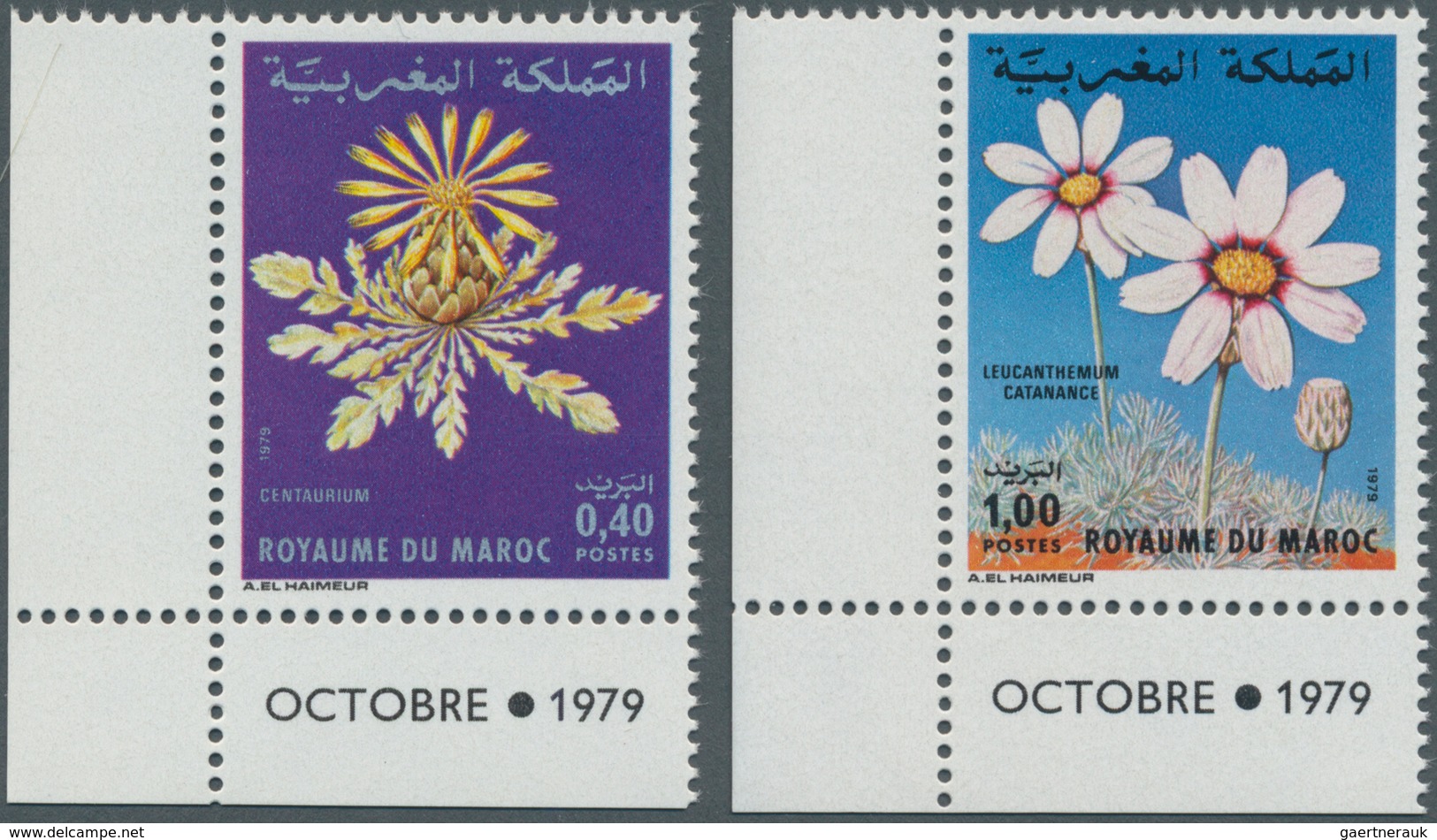 Thematik: Flora, Botanik / Flora, Botany, Bloom: 1979, MOROCCO: Flowers Set Of Two 0.40dh. ‚Centaure - Otros & Sin Clasificación