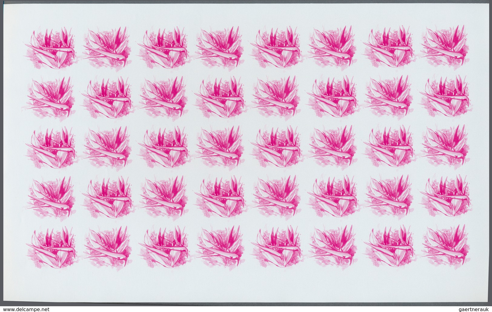 Thematik: Flora, Botanik / Flora, Botany, Bloom: 1981, Niue. Progressive Proofs Set Of Sheets For Th - Autres & Non Classés