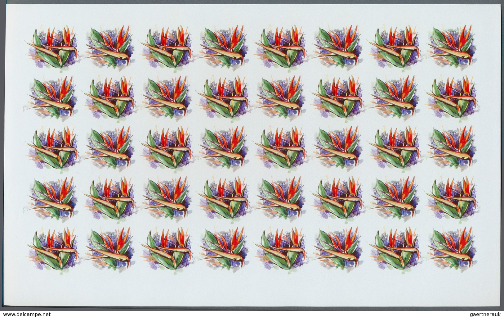 Thematik: Flora, Botanik / flora, botany, bloom: 1981, Niue. Progressive proofs set of sheets for th