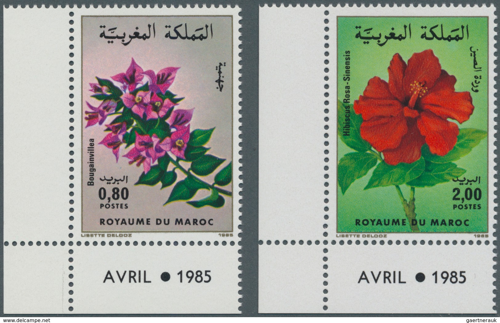 Thematik: Flora, Botanik / Flora, Botany, Bloom: 1985, MOROCCO: Flowers Set Of Two 0.80dh. ‚Bougainv - Otros & Sin Clasificación