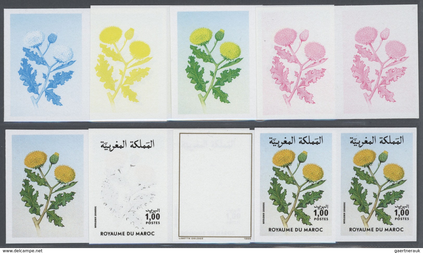 Thematik: Flora, Botanik / Flora, Botany, Bloom: 1986, Morocco. Progressive Proofs (8 Phases) For Th - Otros & Sin Clasificación