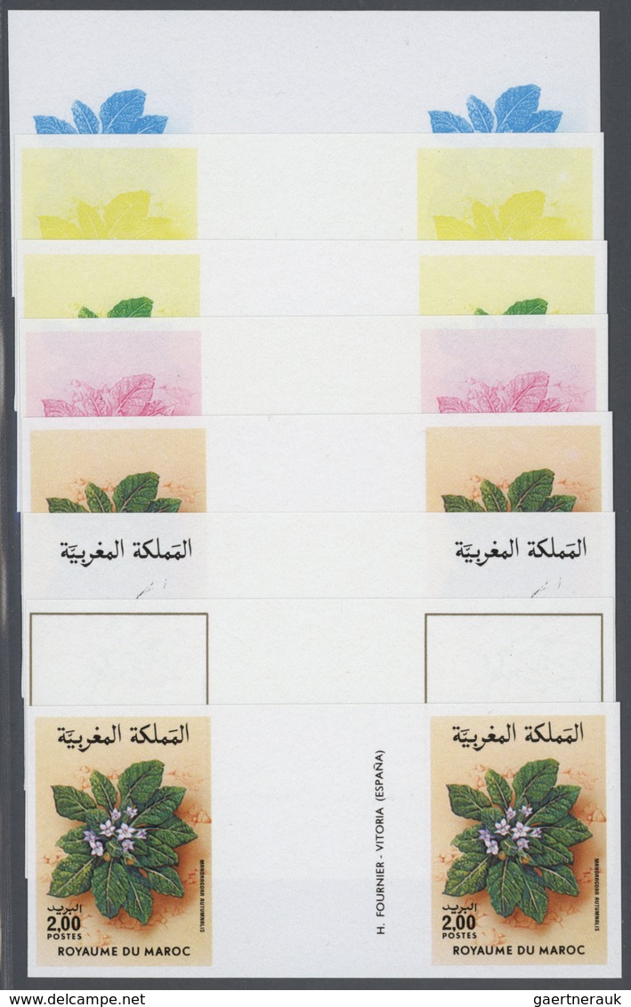 Thematik: Flora, Botanik / Flora, Botany, Bloom: 1986, Morocco. Progressive Proofs (8 Phases) For Th - Autres & Non Classés