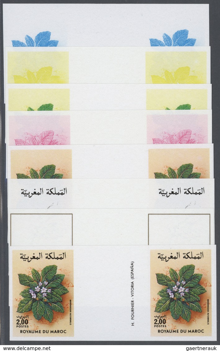 Thematik: Flora, Botanik / Flora, Botany, Bloom: 1986, Morocco. Progressive Proofs (8 Phases) For Th - Other & Unclassified