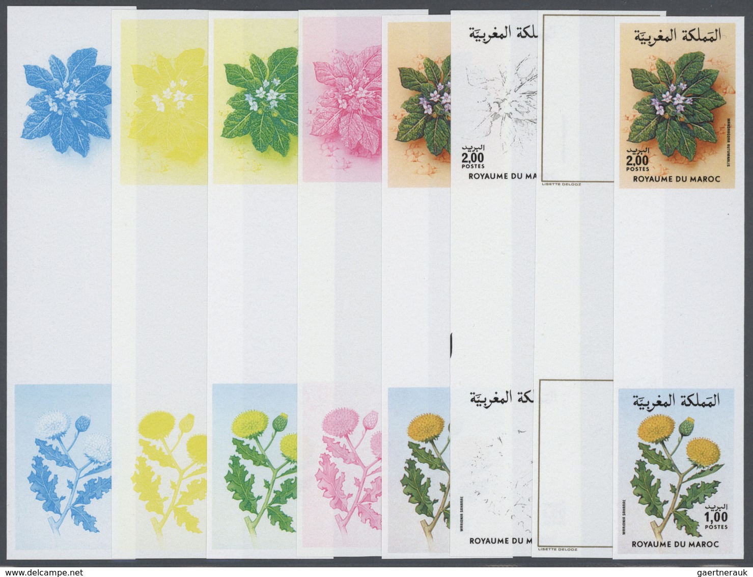 Thematik: Flora, Botanik / Flora, Botany, Bloom: 1986, Morocco. Progressive Proofs (8 Phases) For Th - Otros & Sin Clasificación