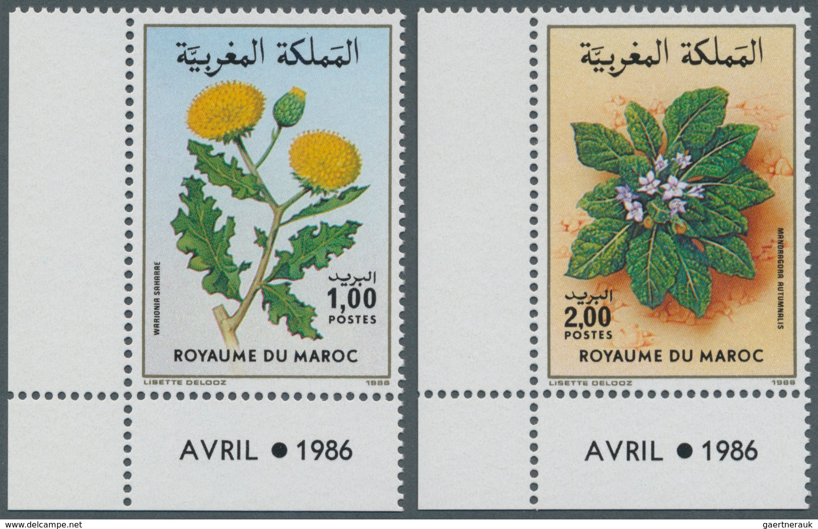 Thematik: Flora, Botanik / Flora, Botany, Bloom: 1986, MOROCCO: Flowers Set Of Two 1.00dh. ‚Warionia - Otros & Sin Clasificación