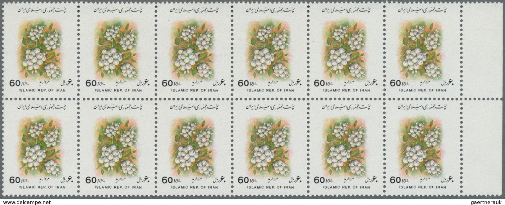 Thematik: Flora, Botanik / Flora, Botany, Bloom: 1993, IRAN: Flower Definitive 60r. Snowball (Viburn - Otros & Sin Clasificación