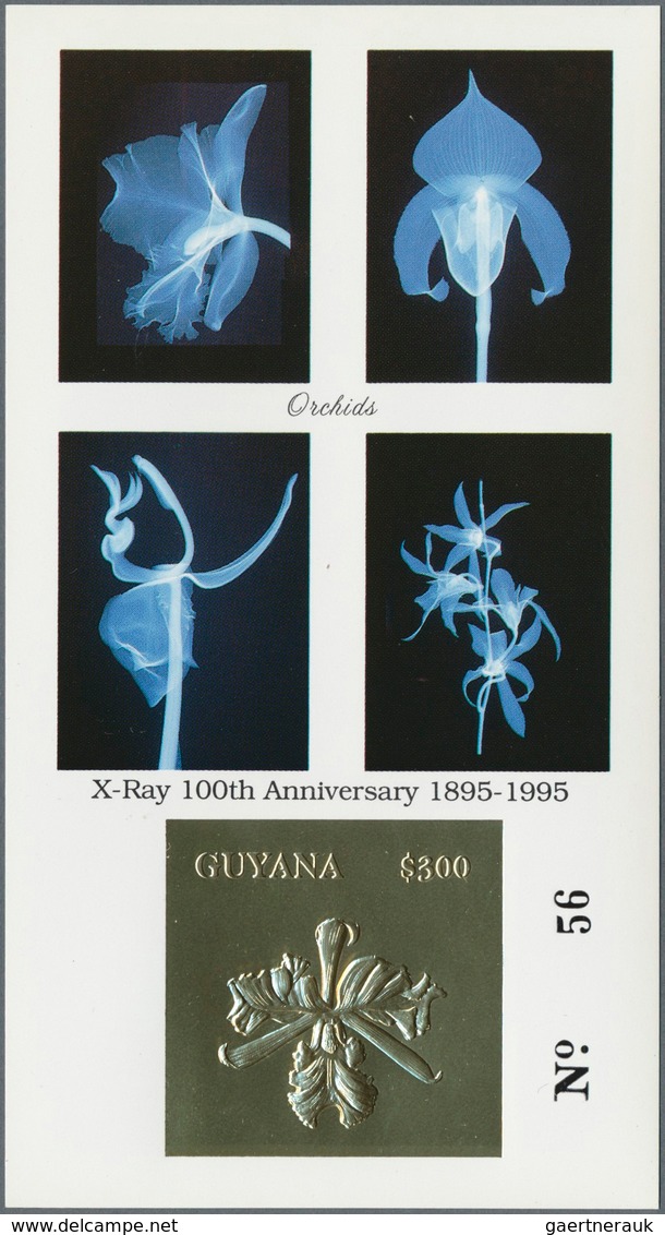 Thematik: Flora-Orchideen / Flora-orchids: 1990/2000 (ca.), Assortment Of 100 Positions Incl. Specia - Orquideas