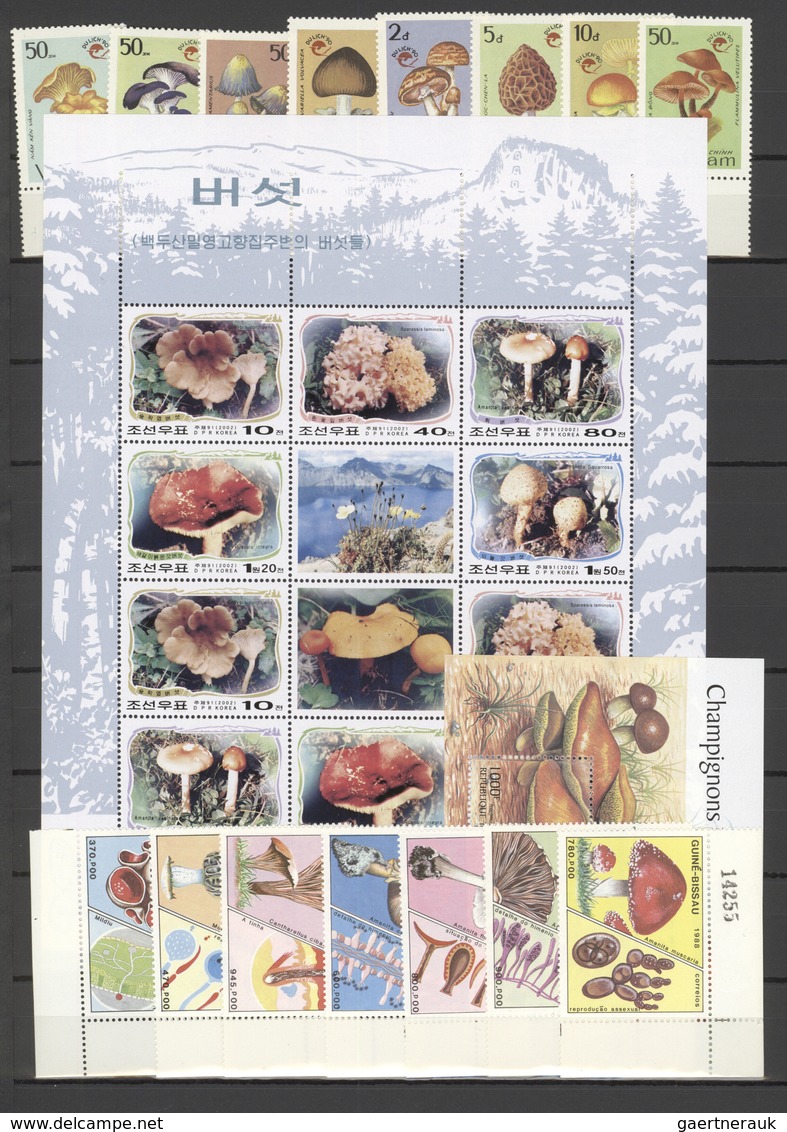 Thematik: Pilze / Mushrooms: 1985/2009 (approx), Various Countries. Stock Book Containing The Topic - Hongos