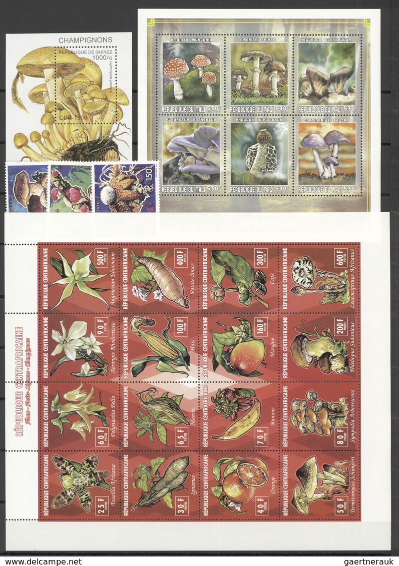 Thematik: Pilze / Mushrooms: 1985/2009 (approx), Various Countries. Stock Book Containing The Topic - Hongos