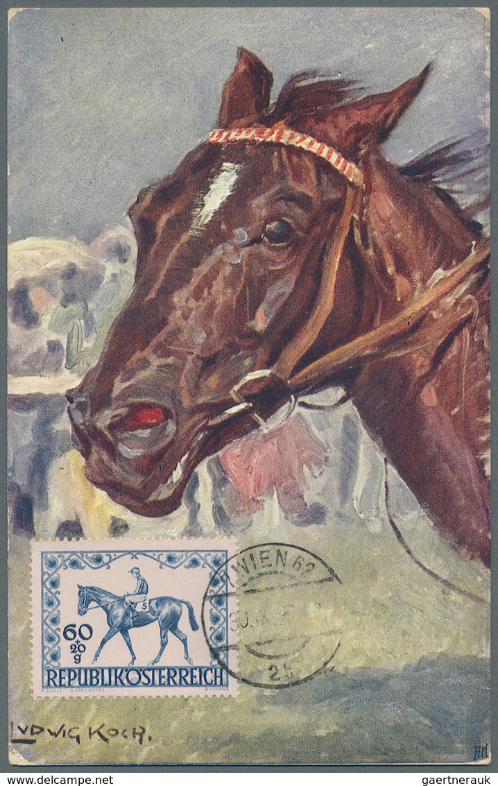 Thematik: Sport-Pferdesport / Sport Equestrian Sports: 19896/1996 Ca., Alle Welt, PFERDESPORT - Samm - Horses
