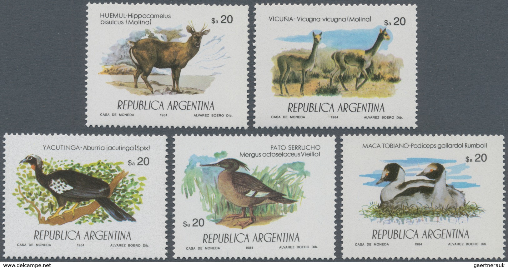 Thematik: Tiere, Fauna / Animals, Fauna: 1984, ARGENTINA: Protected Animals Complete Set Of Five (Hi - Otros & Sin Clasificación