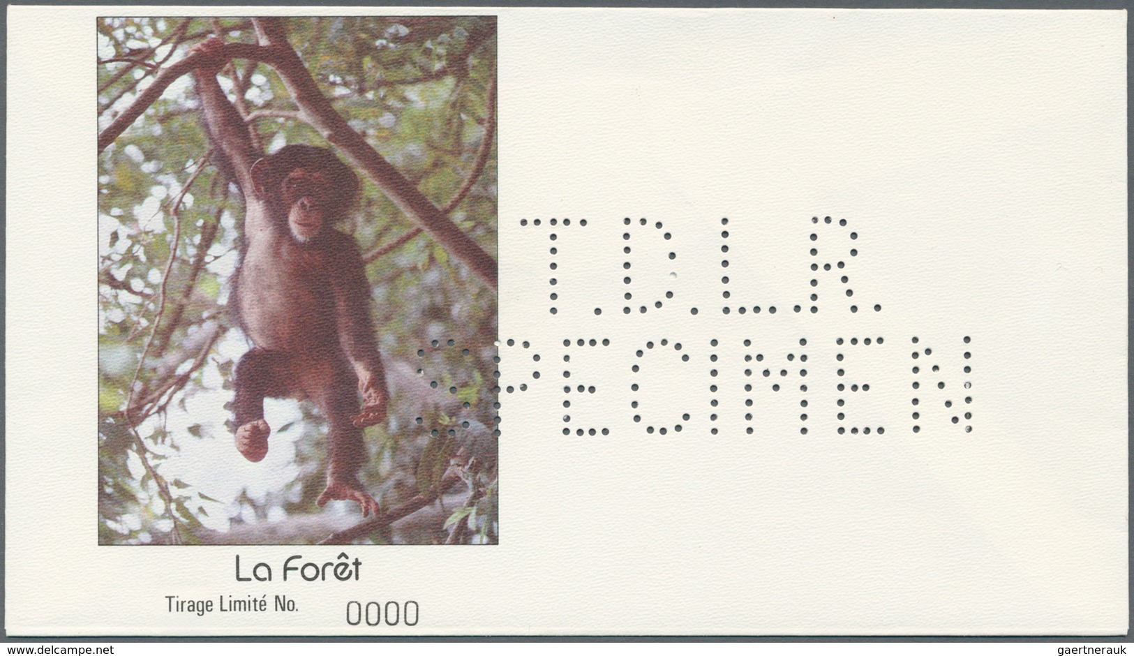 Thematik: Tiere-Affen / Animals-monkeys: 1960/2000 (approx), Various Countries. Accumulation Of 37 I - Mono