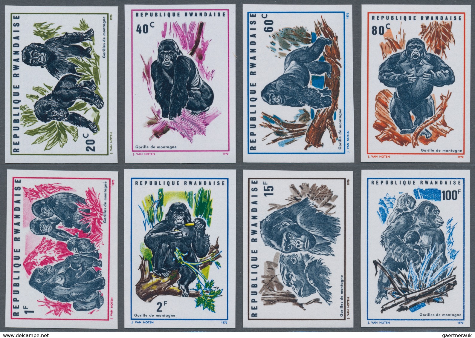 Thematik: Tiere-Affen / Animals-monkeys: 1970, RWANDA: Mountain Gorilla (Gorilla Gorilla Beringel) C - Singes