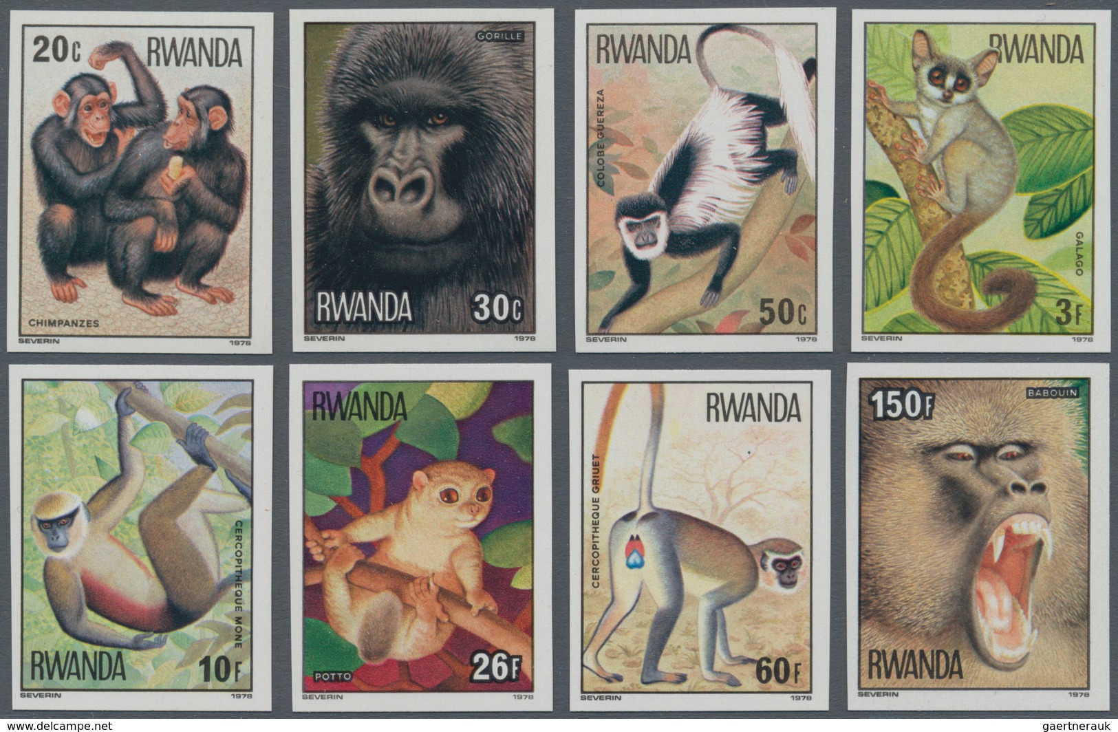 Thematik: Tiere-Affen / Animals-monkeys: 1978, RWANDA: Monkeys Complete IMPERFORATE Set Of Eight Fro - Monkeys