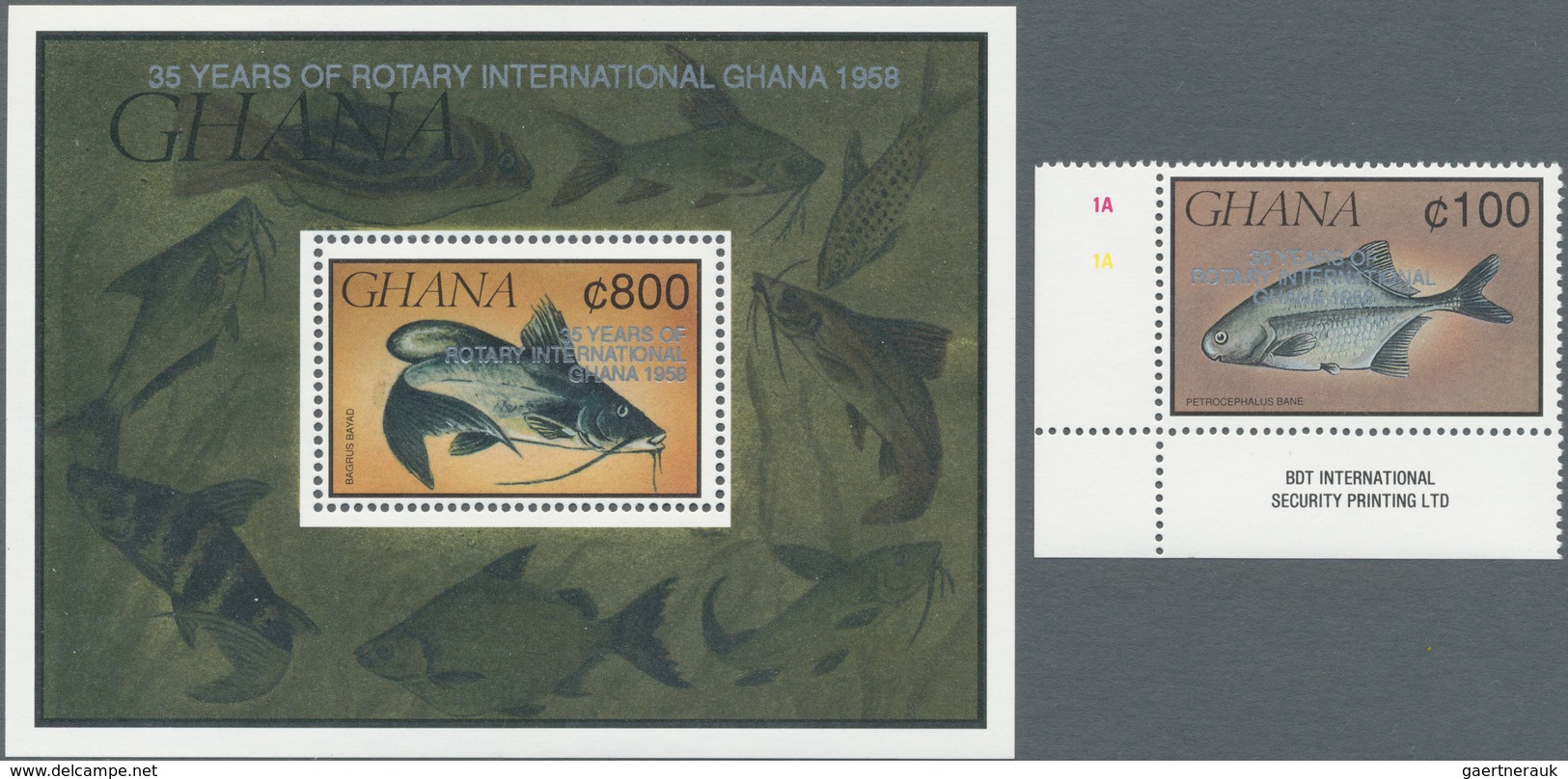 Thematik: Tiere-Fische / Animals-fishes: 1960/2000 (approx), Various Countries. Accumulation Of 41 I - Poissons