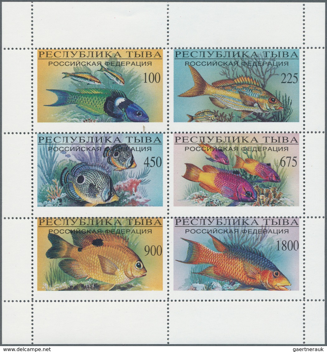 Thematik: Tiere-Fische / Animals-fishes: 1960/2000 (approx), Various Countries. Accumulation Of 76 I - Peces