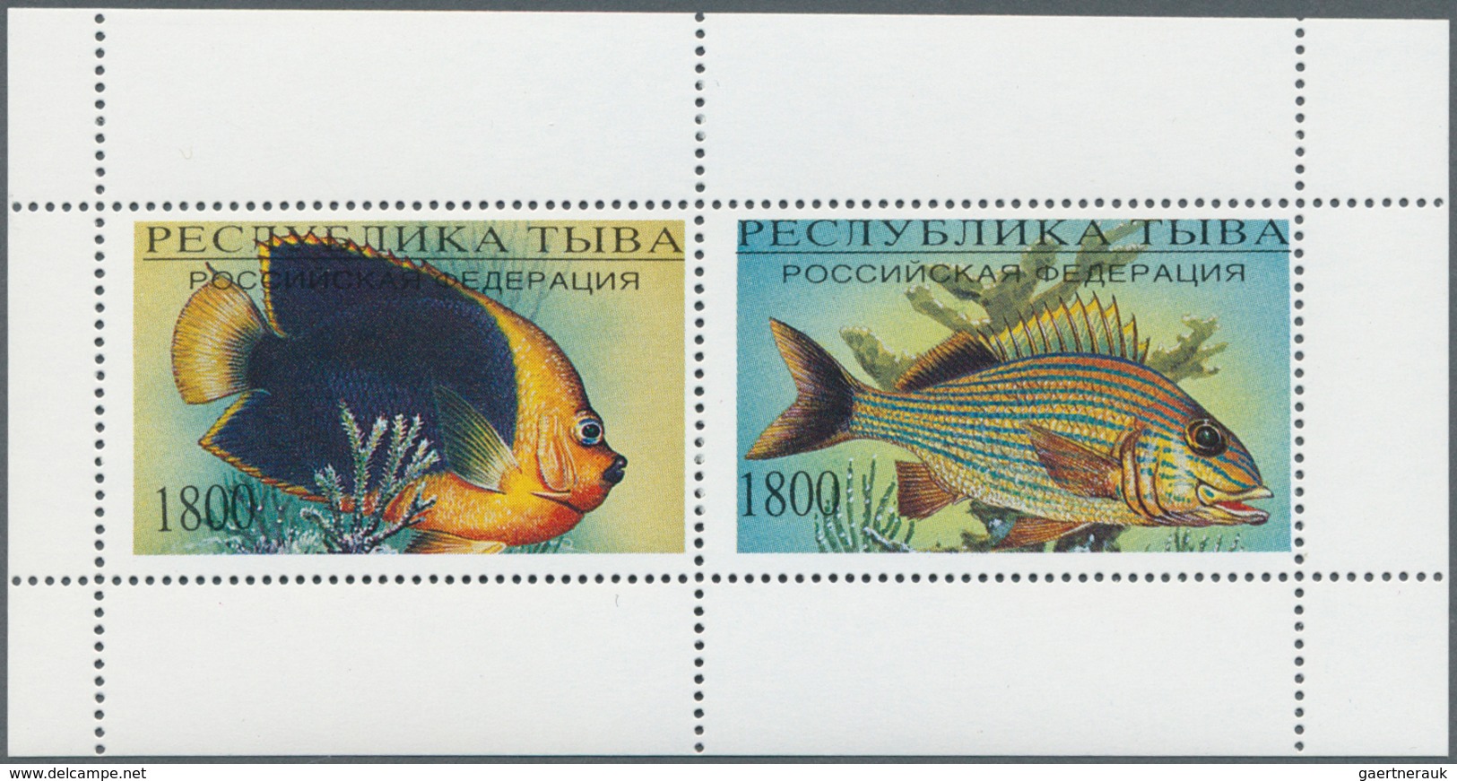 Thematik: Tiere-Fische / Animals-fishes: 1960/2000 (approx), Various Countries. Accumulation Of 76 I - Poissons