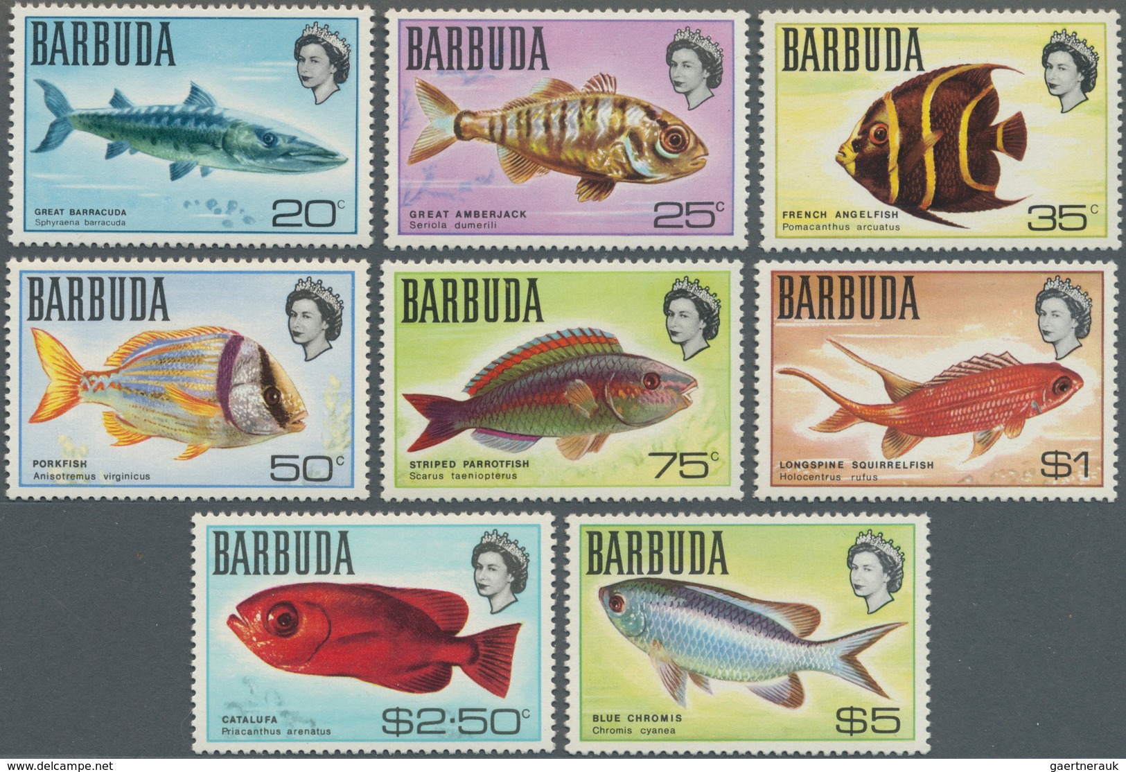 Thematik: Tiere-Fische / Animals-fishes: 1968/1970, BARBUDA: Fishes And Map Of Barbuda Definitives C - Poissons
