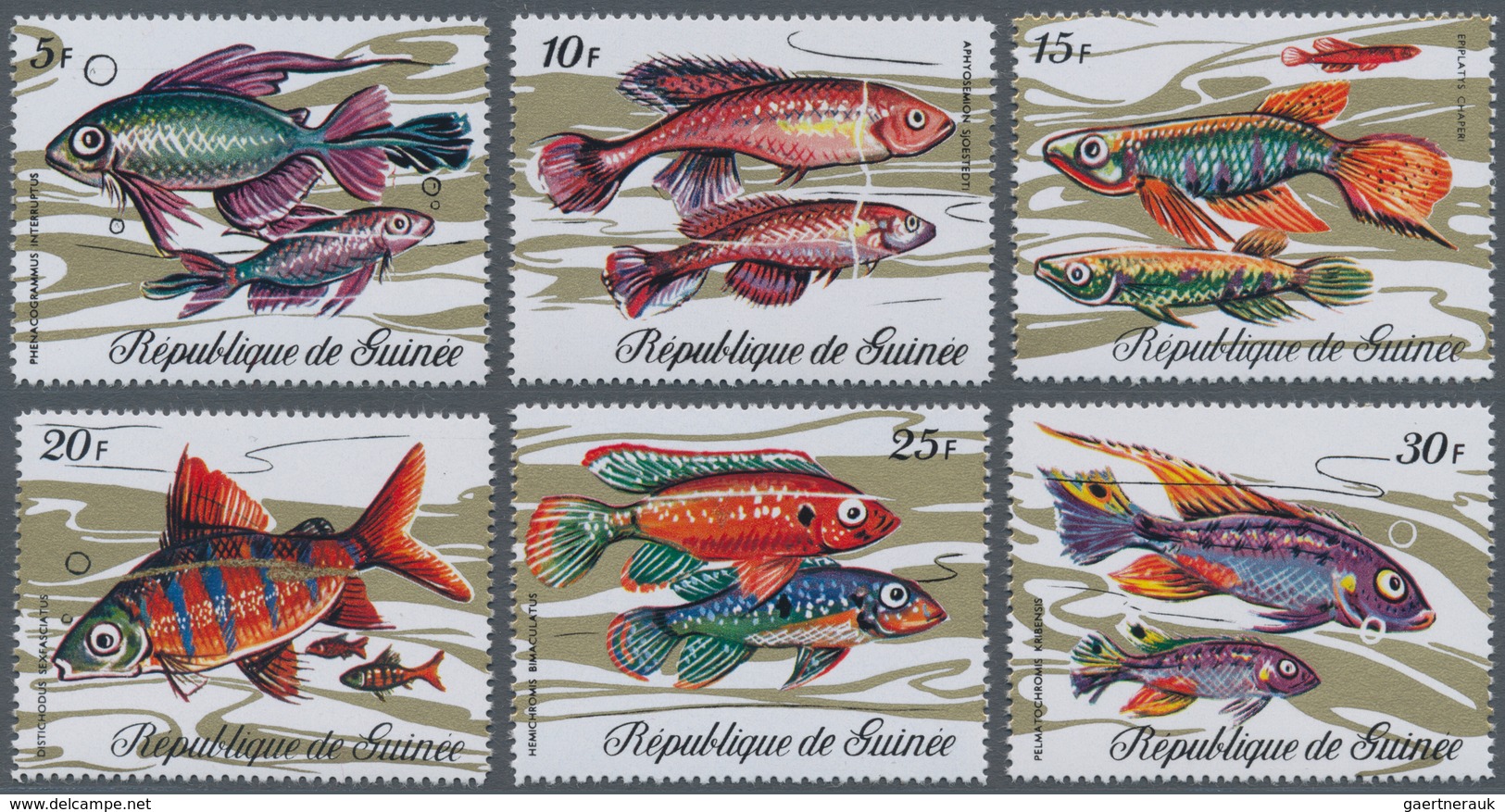 Thematik: Tiere-Fische / Animals-fishes: 1971, GUINEA: Fishes Complete Set Of Twelve In A Lot With 9 - Poissons