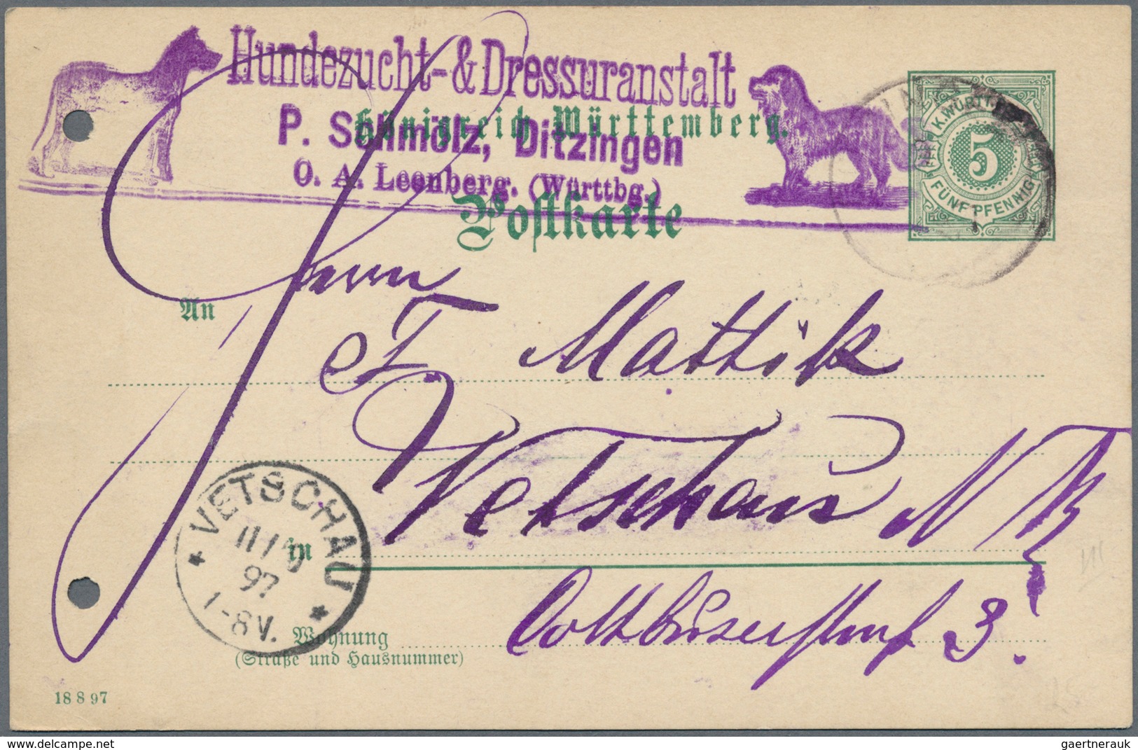 Thematik: Tiere-Hunde / animals-dogs: 1870/2014 (ca.), enormous collection of covers/cards in three