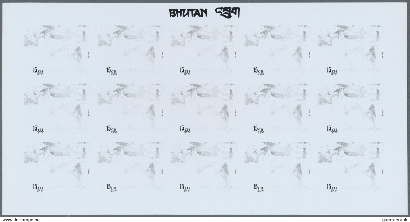 Thematik: Tiere-Hunde / Animals-dogs: 1973, Bhutan. Progressive Proofs Set Of Sheets For The Complet - Perros