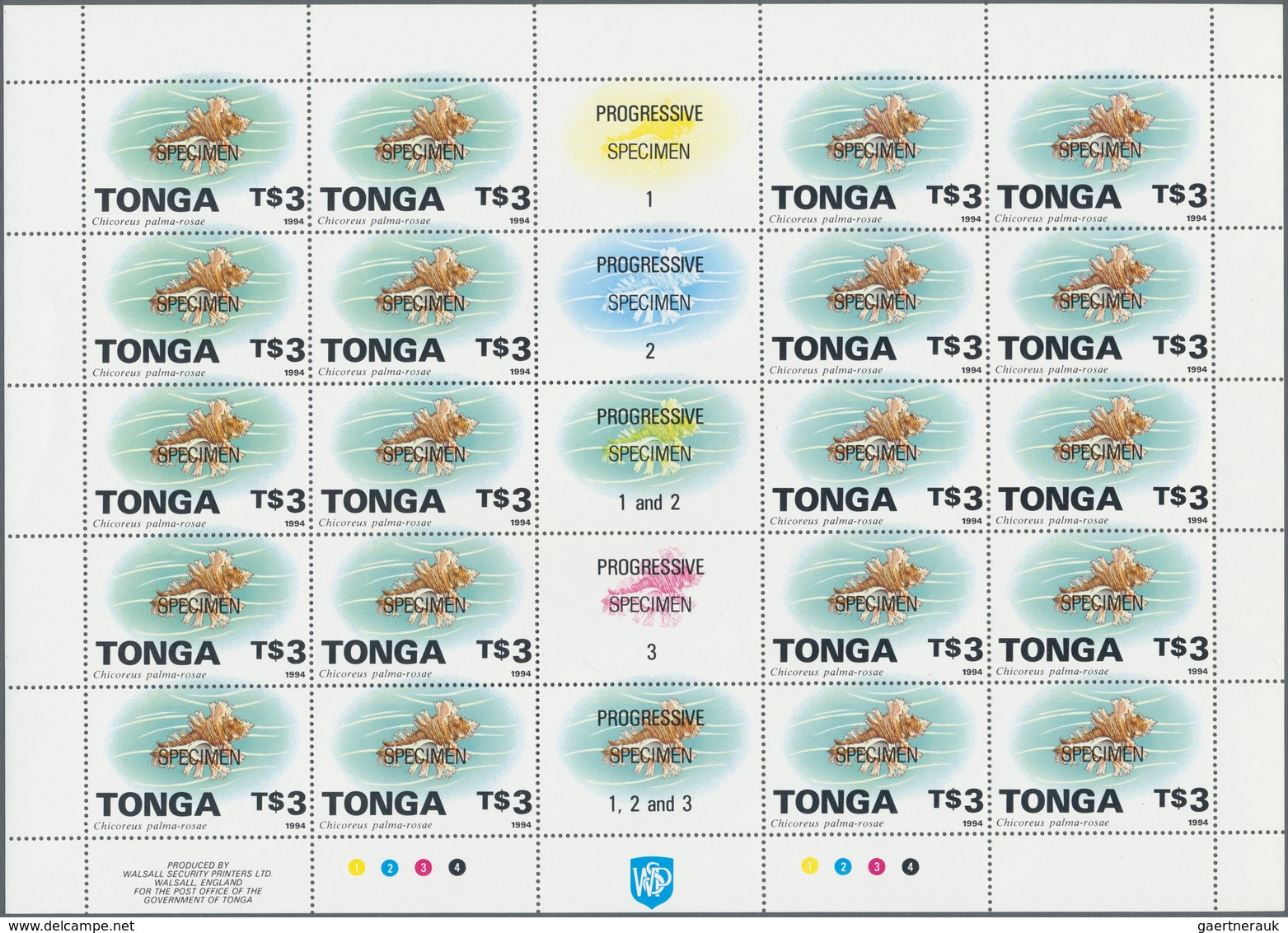 Thematik: Tiere-Meerestiere-Muscheln / Animals-sea Animals-shells: 1960/2000 (approx), Various Count - Conchas