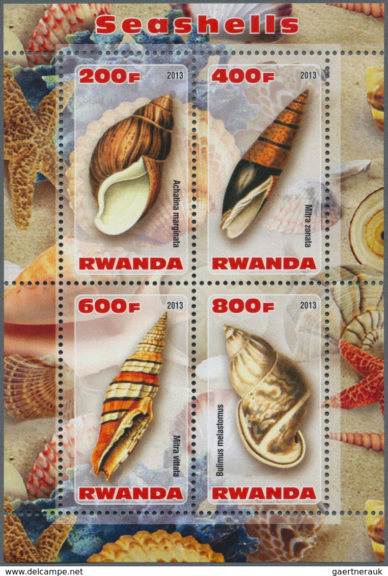 Thematik: Tiere-Meerestiere-Muscheln / Animals-sea Animals-shells: 1960/2000 (approx), Various Count - Coquillages