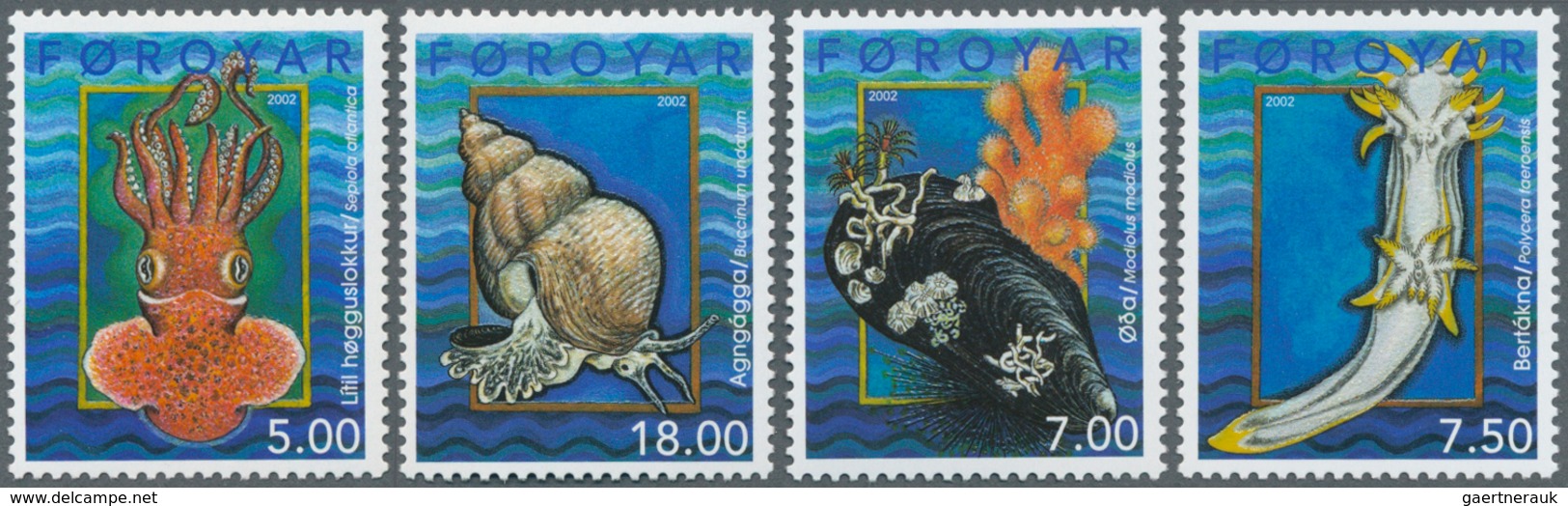 Thematik: Tiere-Meerestiere-Muscheln / Animals-sea Animals-shells: 1960/2000 (approx), Various Count - Coquillages