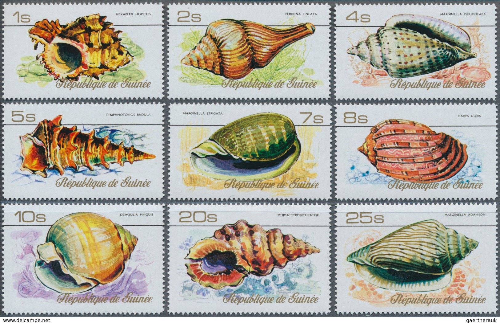 Thematik: Tiere-Meerestiere-Muscheln / Animals-sea Animals-shells: 1977, GUINEA: Conches Complete Se - Conchas