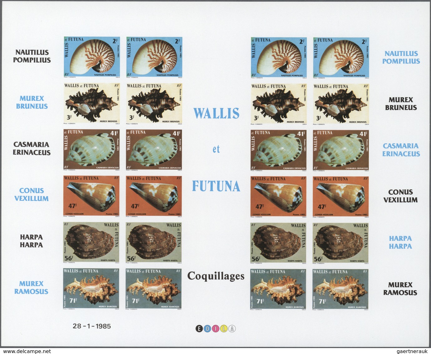 Thematik: Tiere-Meerestiere-Muscheln / Animals-sea Animals-shells: 1985, WALLIS And FUTUNA: Conches - Coneshells