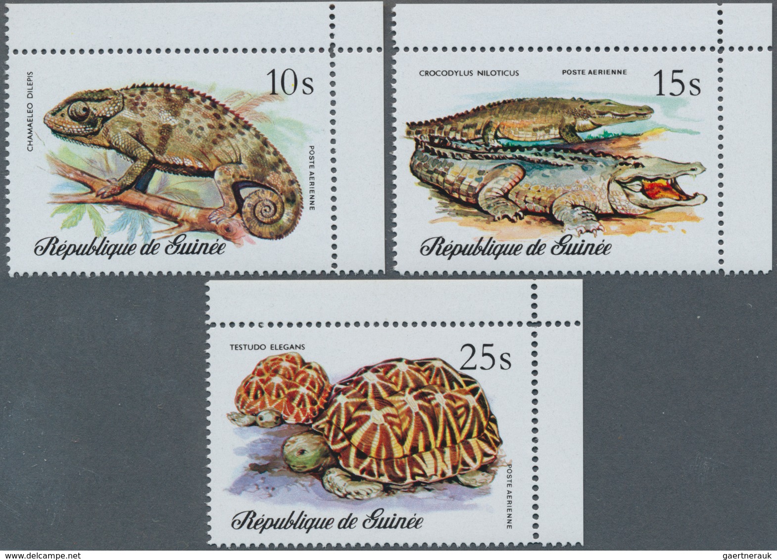 Thematik: Tiere-Reptilien / Animals-reptiles: 1977, GUINEA: Reptiles Complete Set Of The Three Airma - Autres & Non Classés