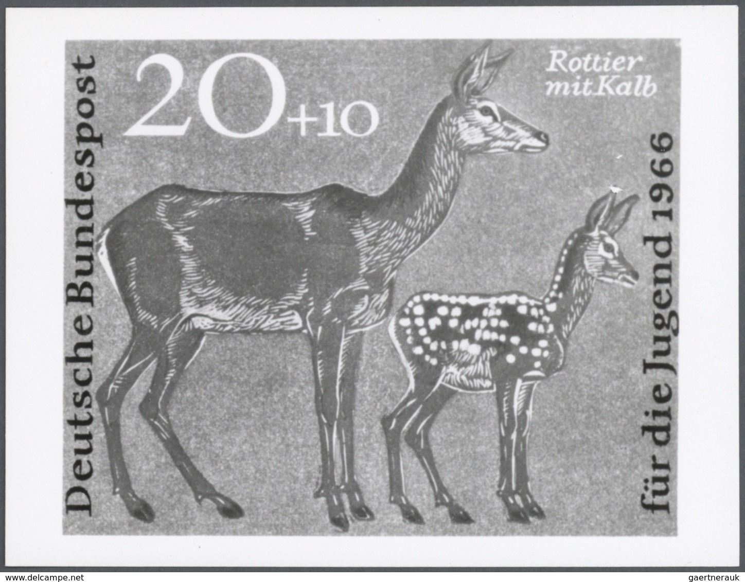 Thematik: Tiere-Schalwild / Animals- Stag,chamois…: 1966, Bundesrepublik Deutschland, Jugendmarken " - Gibier