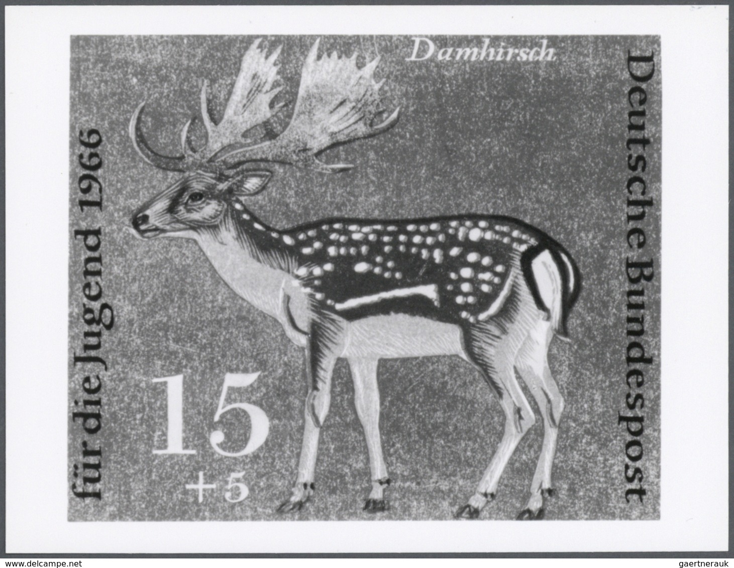 Thematik: Tiere-Schalwild / Animals- Stag,chamois…: 1966, Bundesrepublik Deutschland, Jugendmarken " - Animalez De Caza