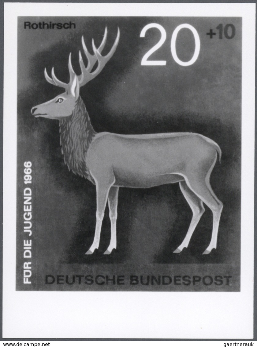 Thematik: Tiere-Schalwild / Animals- Stag,chamois…: 1966, Bundesrepublik Deutschland, Jugendmarken " - Animalez De Caza