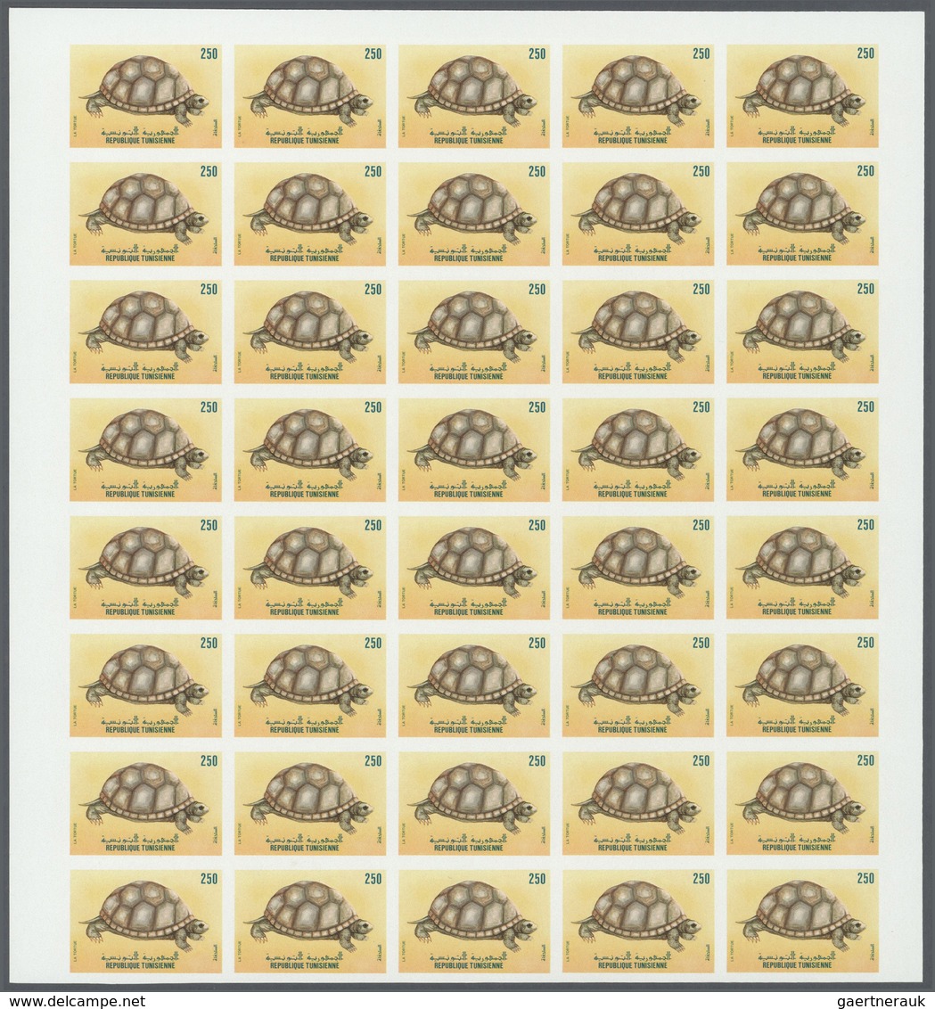 Thematik: Tiere-Schildkröten / Animals-turtles: 1989, Tunisia. Progressive Proofs Set Of Sheets For - Tortugas