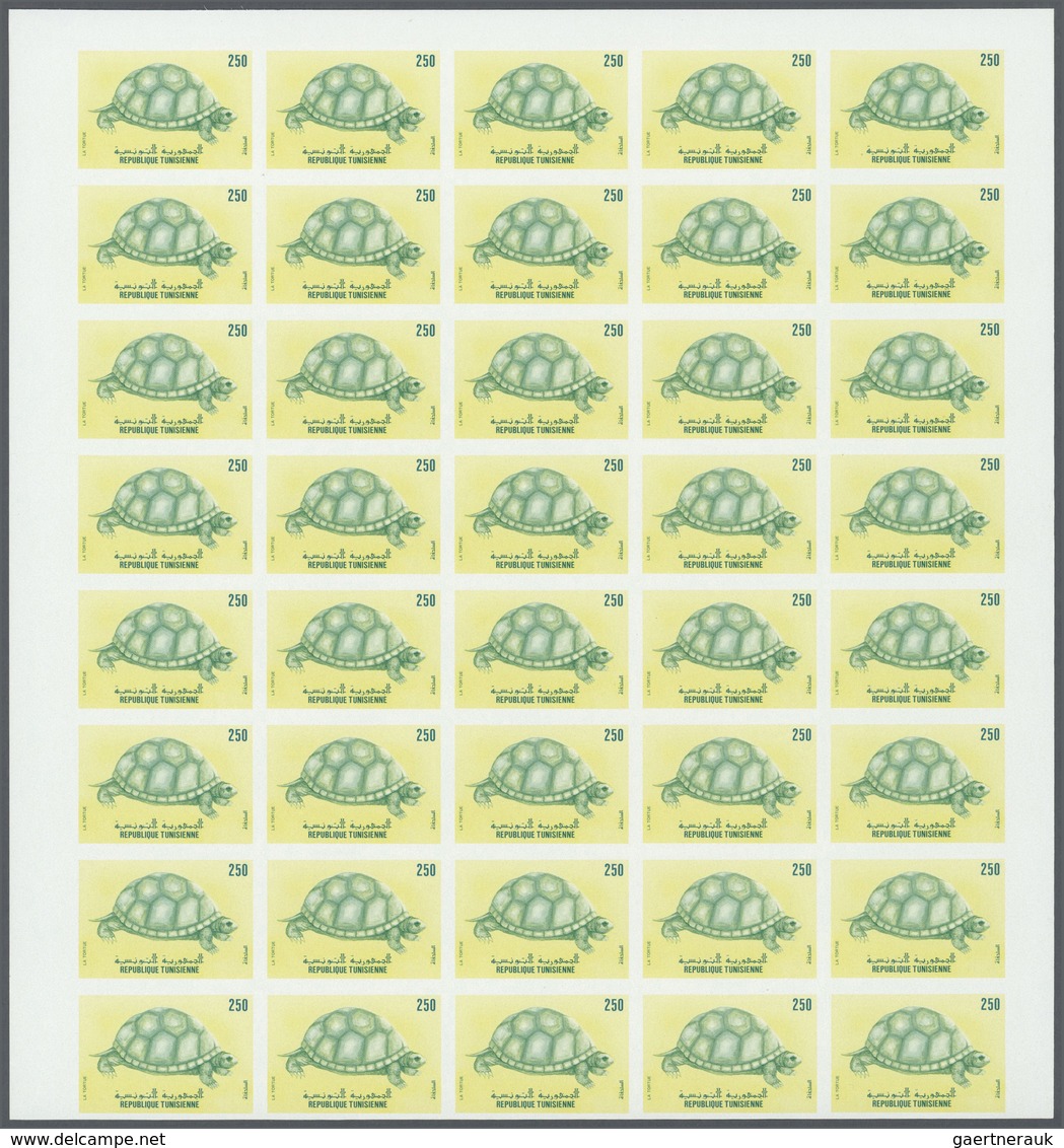 Thematik: Tiere-Schildkröten / Animals-turtles: 1989, Tunisia. Progressive Proofs Set Of Sheets For - Tortues