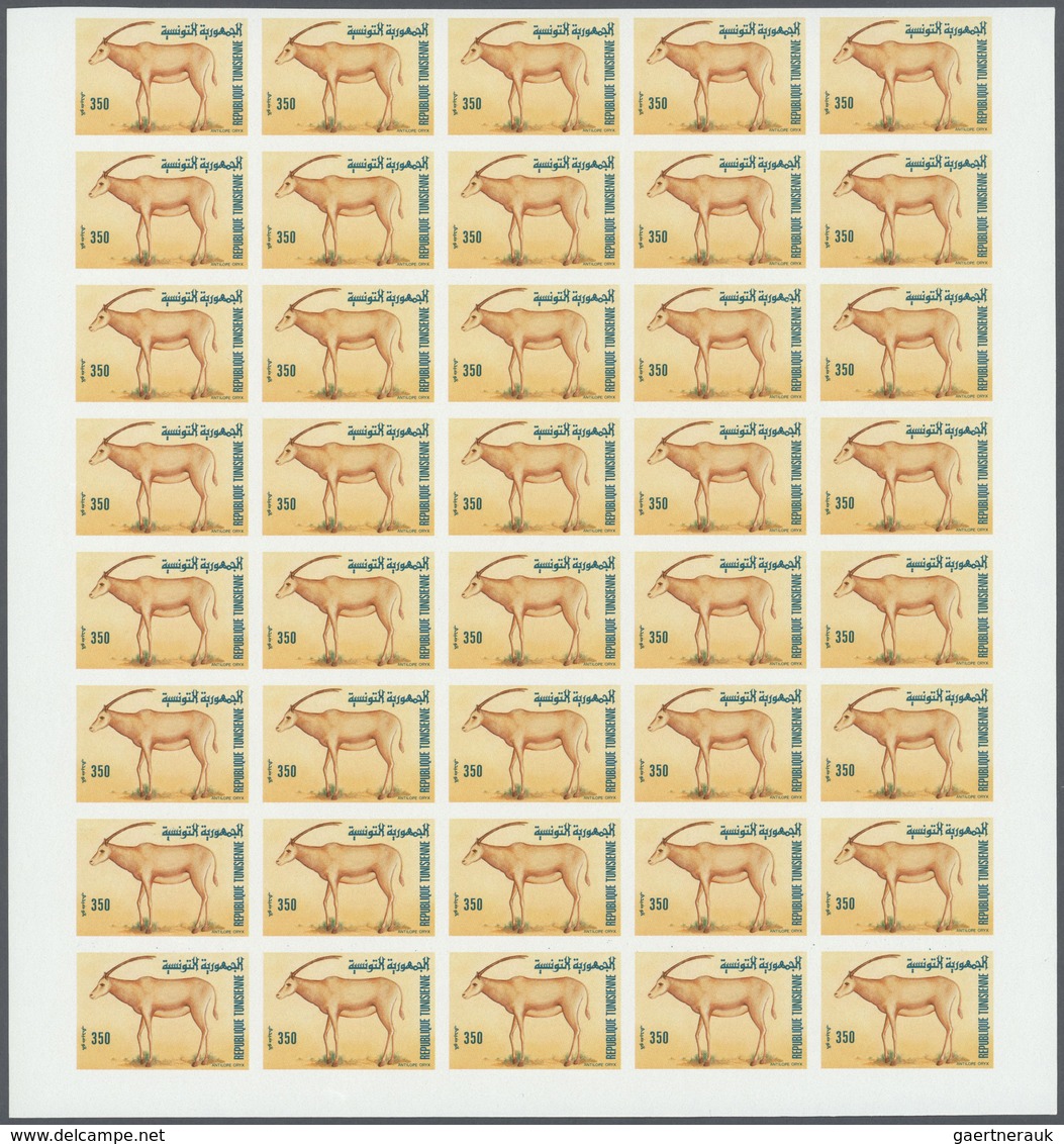 Thematik: Tiere-Schildkröten / Animals-turtles: 1989, Tunisia. Progressive Proofs Set Of Sheets For - Tortugas