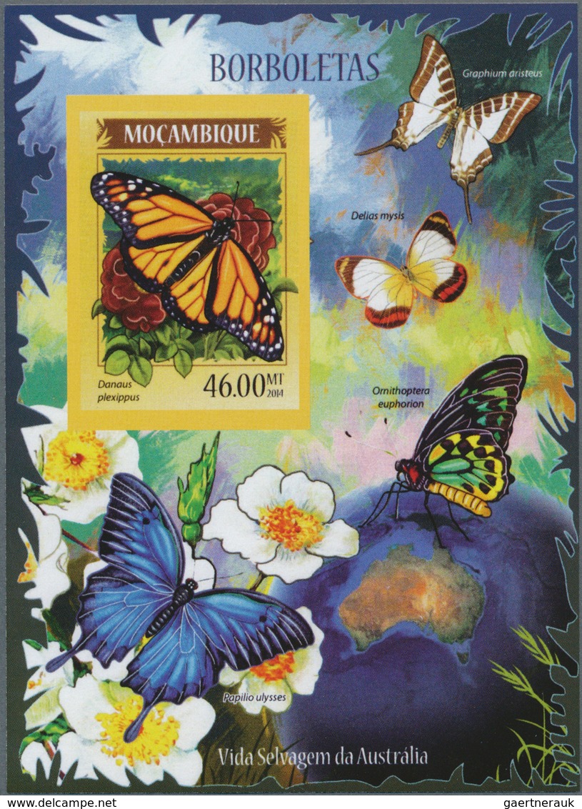 Thematik: Tiere-Schmetterlinge / Animals-butterflies: 1960/2000 (approx), Various Countries. Accumul - Papillons