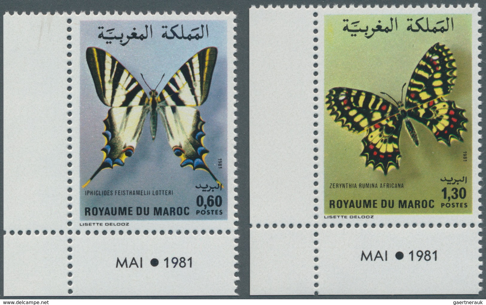 Thematik: Tiere-Schmetterlinge / Animals-butterflies: 1981, MOROCCO: Butterflies Set Of Two 0.60dh. - Mariposas