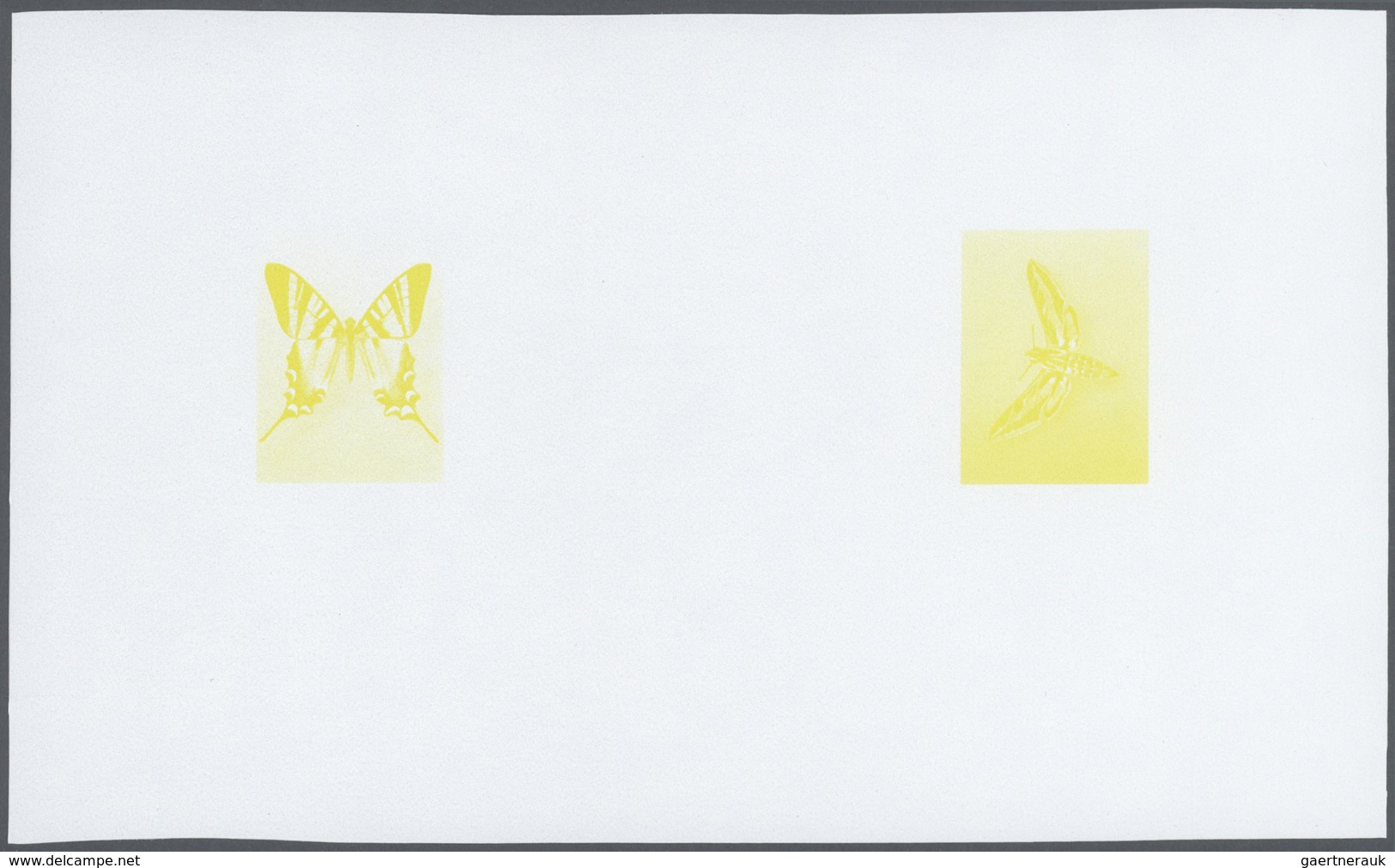 Thematik: Tiere-Schmetterlinge / Animals-butterflies: 1981/1982, Morocco. Composite, Progressive Pro - Mariposas