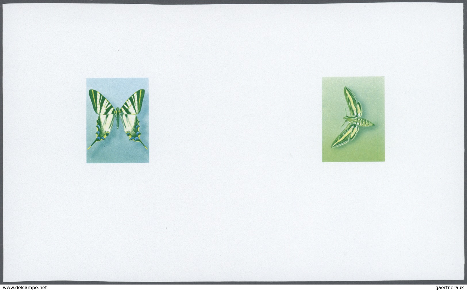 Thematik: Tiere-Schmetterlinge / Animals-butterflies: 1981/1982, Morocco. Composite, Progressive Pro - Papillons
